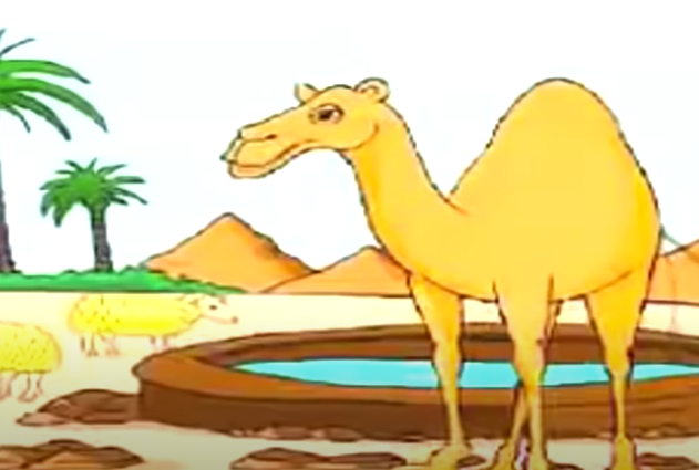 قصص الأنبياء – قصة صالح عليه السلام